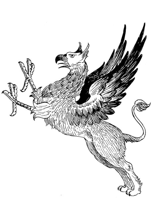 Coloring page griffon