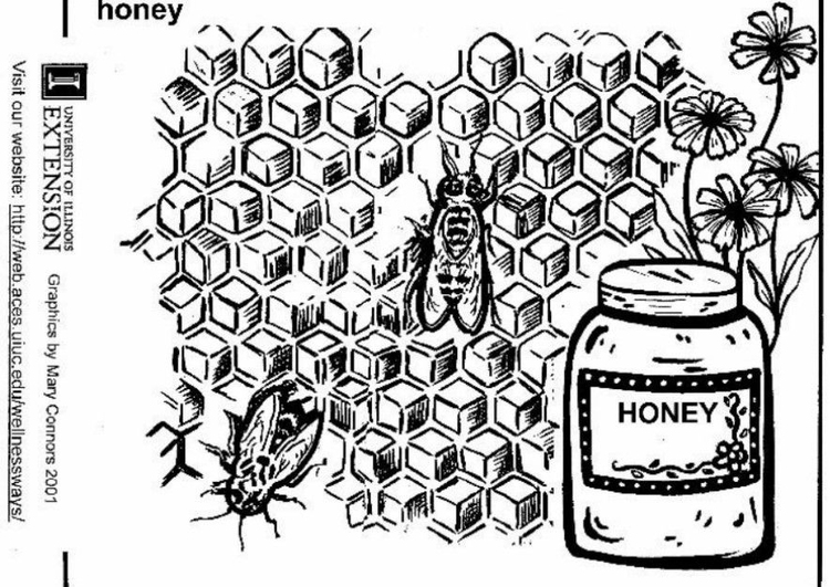 Coloring page honey