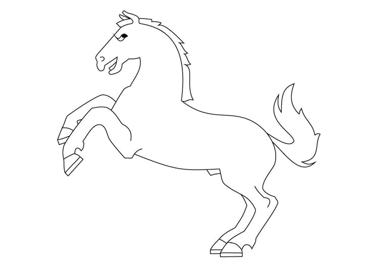 Coloring page horse on haunches