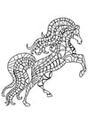 Coloring pages horse rears
