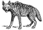 Coloring pages hyena