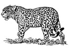 Coloring pages jaguar
