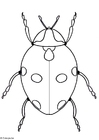 Coloring pages ladybird