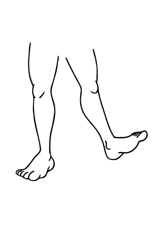 Coloring page legs