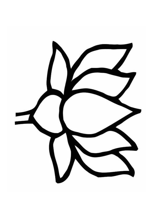 Coloring page lotus flower img 11276