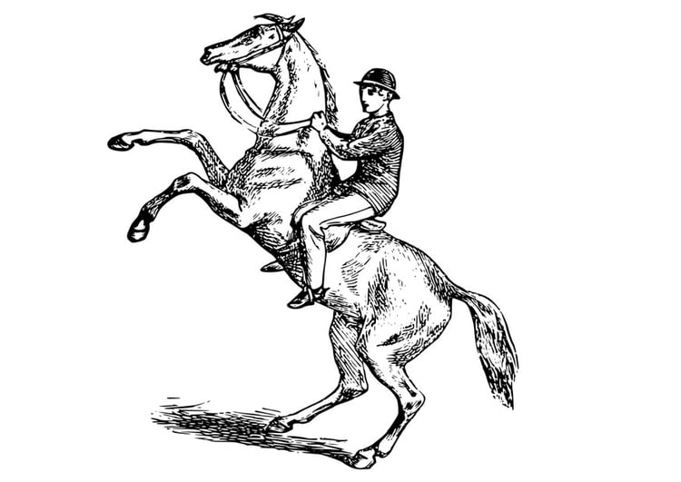Coloring page man on horse