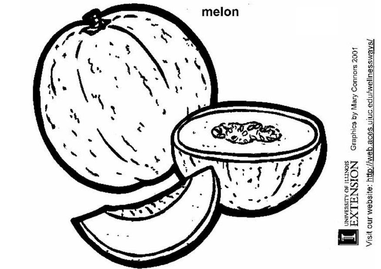 Coloring page melon