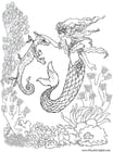 Coloring pages mermaid and seahorse