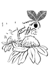 Coloring pages moth