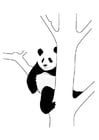 Coloring pages panda in tree