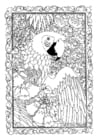 Coloring pages parrot