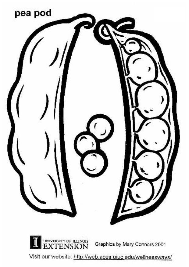 peas in pod. peas coloring page