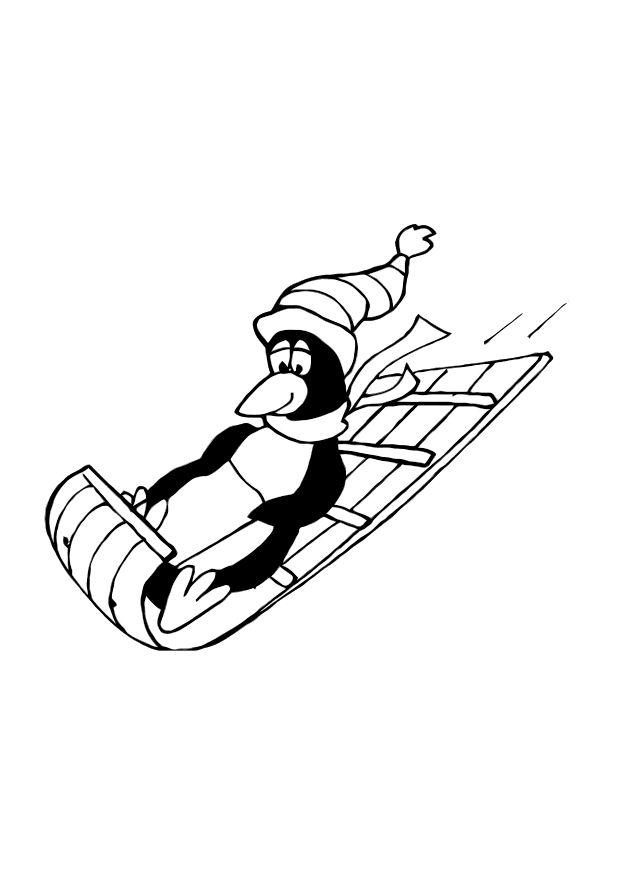 Coloring page penguin sledding - img 10768.