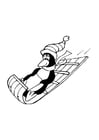 Coloring pages penguin sledding