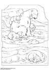 Coloring pages polar bear