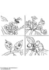 Coloring pages pollinate