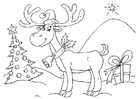 Coloring pages reindeer