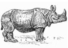 Coloring pages Rhinoceros