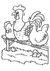 Coloring pages rooster and hens