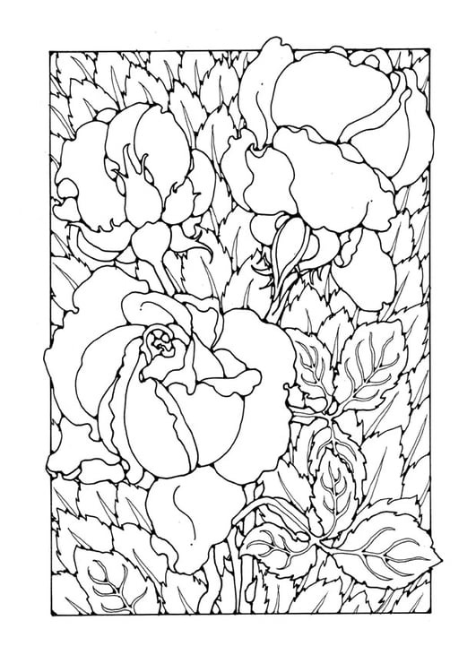 Coloring page roses
