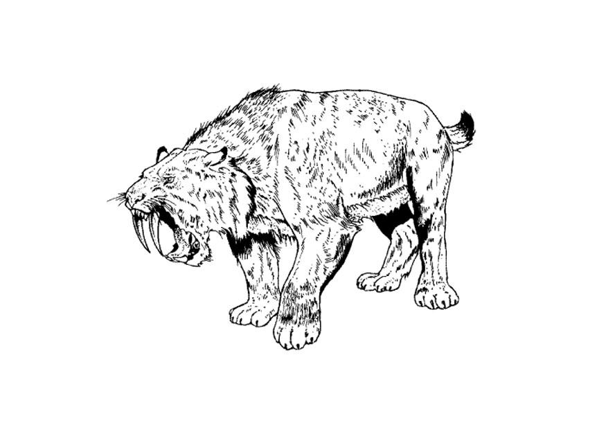 Coloring page saber tooth tiger