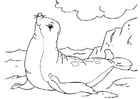 Coloring pages seal