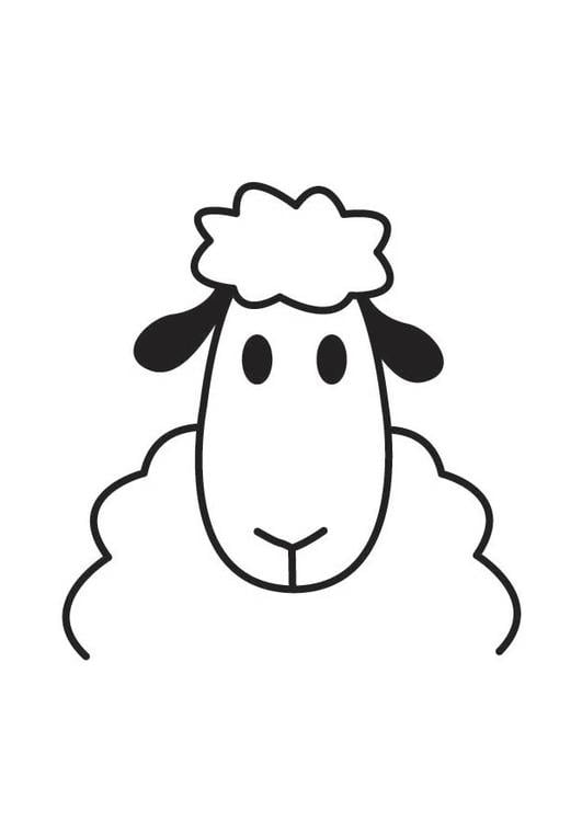 Sheep Head