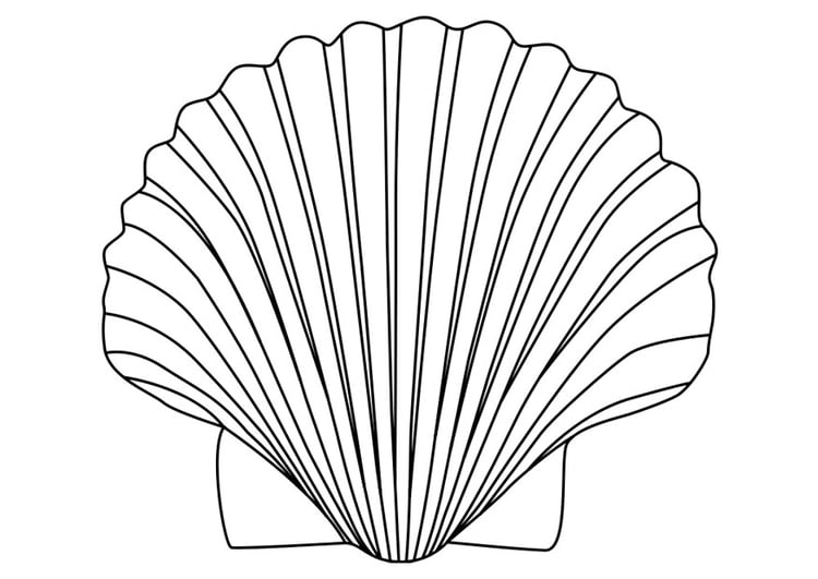 Coloring page shell of saint James