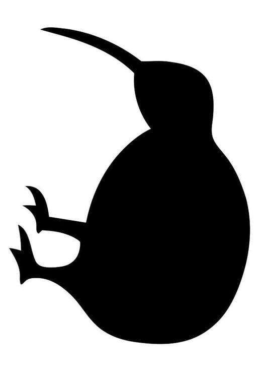 silhouette of bird - kiwi