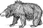 Coloring pages sloth bear