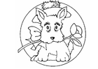Coloring pages small dog