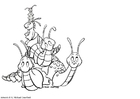 Coloring pages snails and slugs