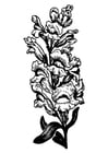 Coloring pages snapdragon