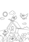 Coloring pages spring, birdhouse