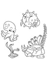 Coloring pages squid and puffer fish swim around