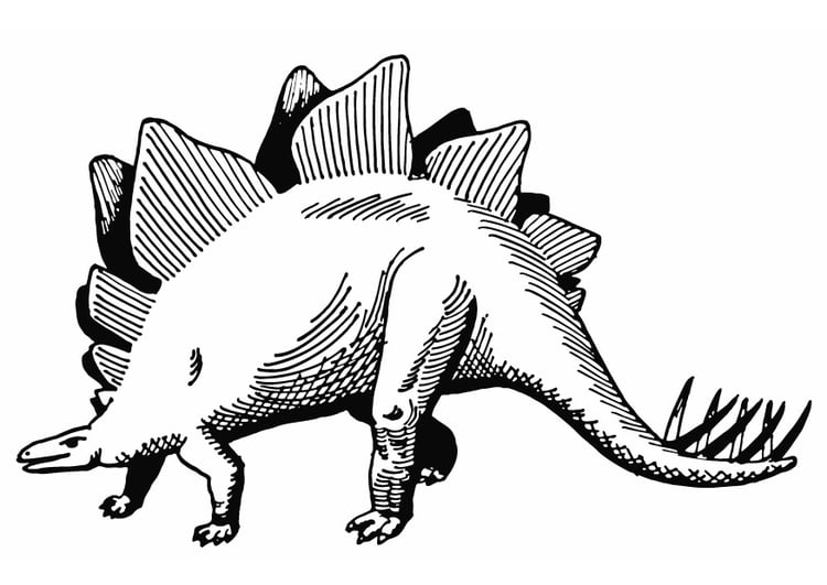 Coloring page stegosaurus