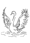 Coloring pages swan