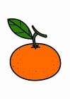 Coloring pages tangerine