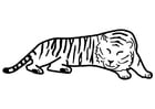 Coloring pages tiger sleeping
