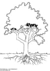 Coloring pages tree