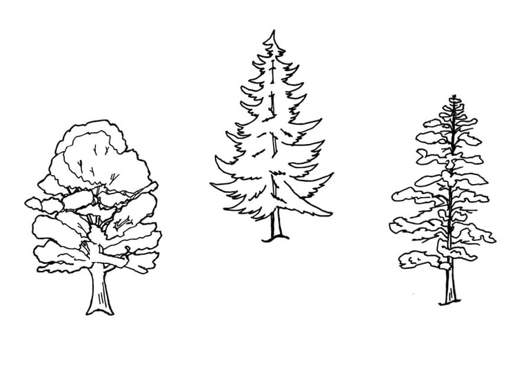 Coloring page trees