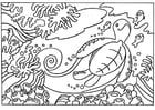 Coloring pages Turtle