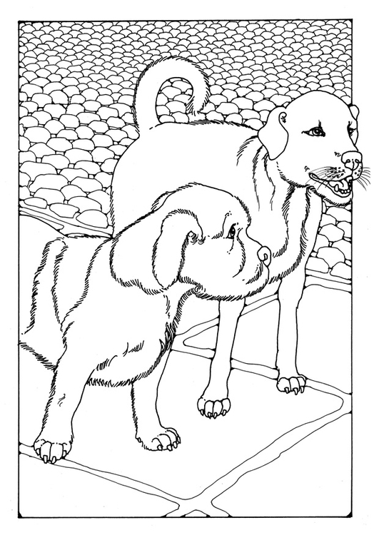 Coloring page two dogs