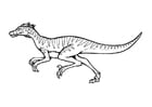 Coloring pages velociraptor
