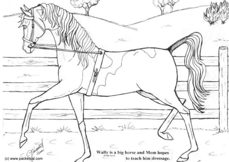 Coloring page Wally dressage