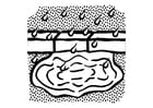 Coloring pages water puddle