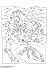 Coloring pages wild horses