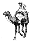 Coloring pages woman on camel