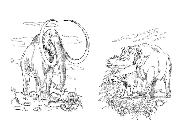 Coloring page wooly mammoth