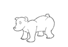 bear